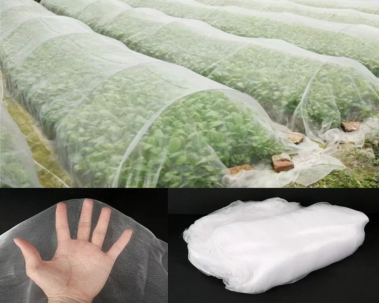 Product???